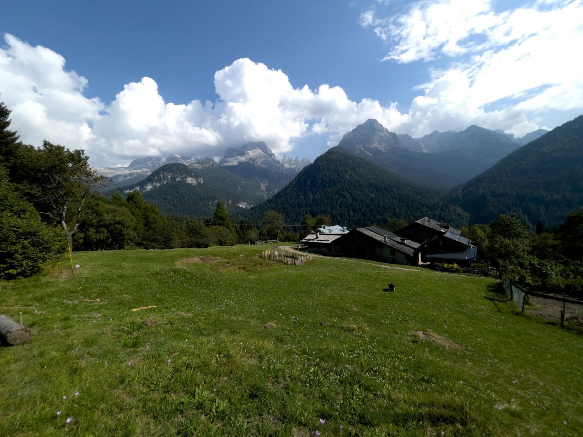 Villa Alpina Campiglio Madonna Exterior foto